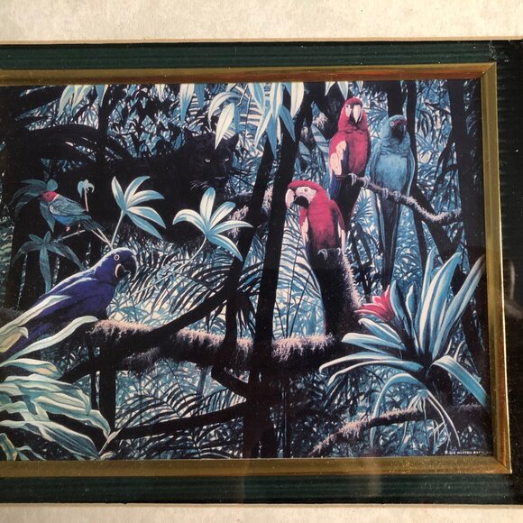 Vintage print jungle parrot with frame small wall decor - Picture 2 of 7